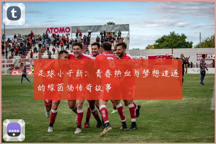 足球小子新：青春热血与梦想追逐的绿茵场传奇故事