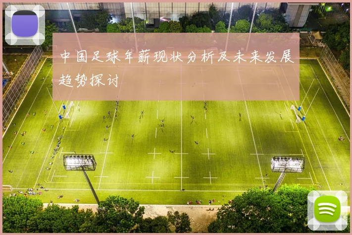 中国足球年薪现状分析及未来发展趋势探讨